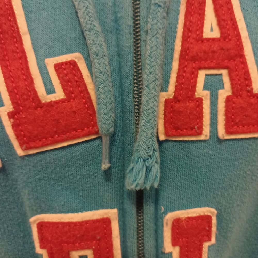 4/$60 Teal Blue Orlando Hoodie - Size Large - Picture 10 of 10